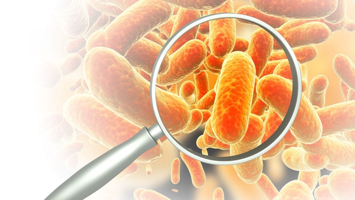 Why Self-Medication With Antibiotics Is Fueling India’s Silent Health Crisis