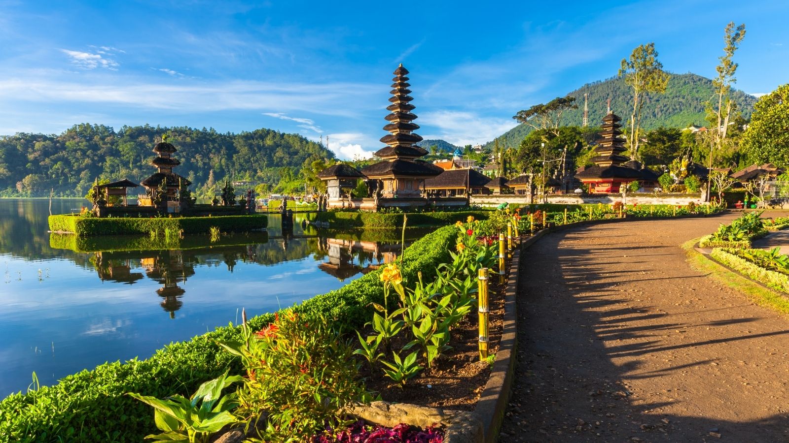 International Travel Destination