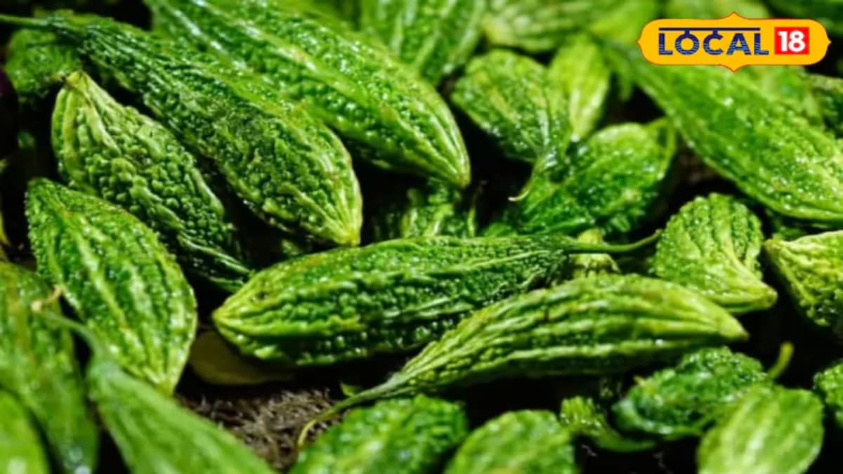Karela Recipe: Try This Bitter Gourd Dish For A Delicious Blend Of Taste And Health