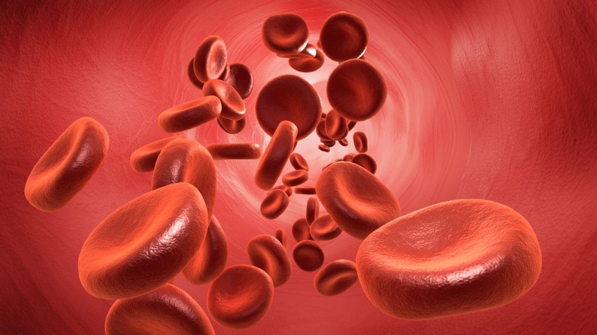 Thalassemia: Impact on Children and Families