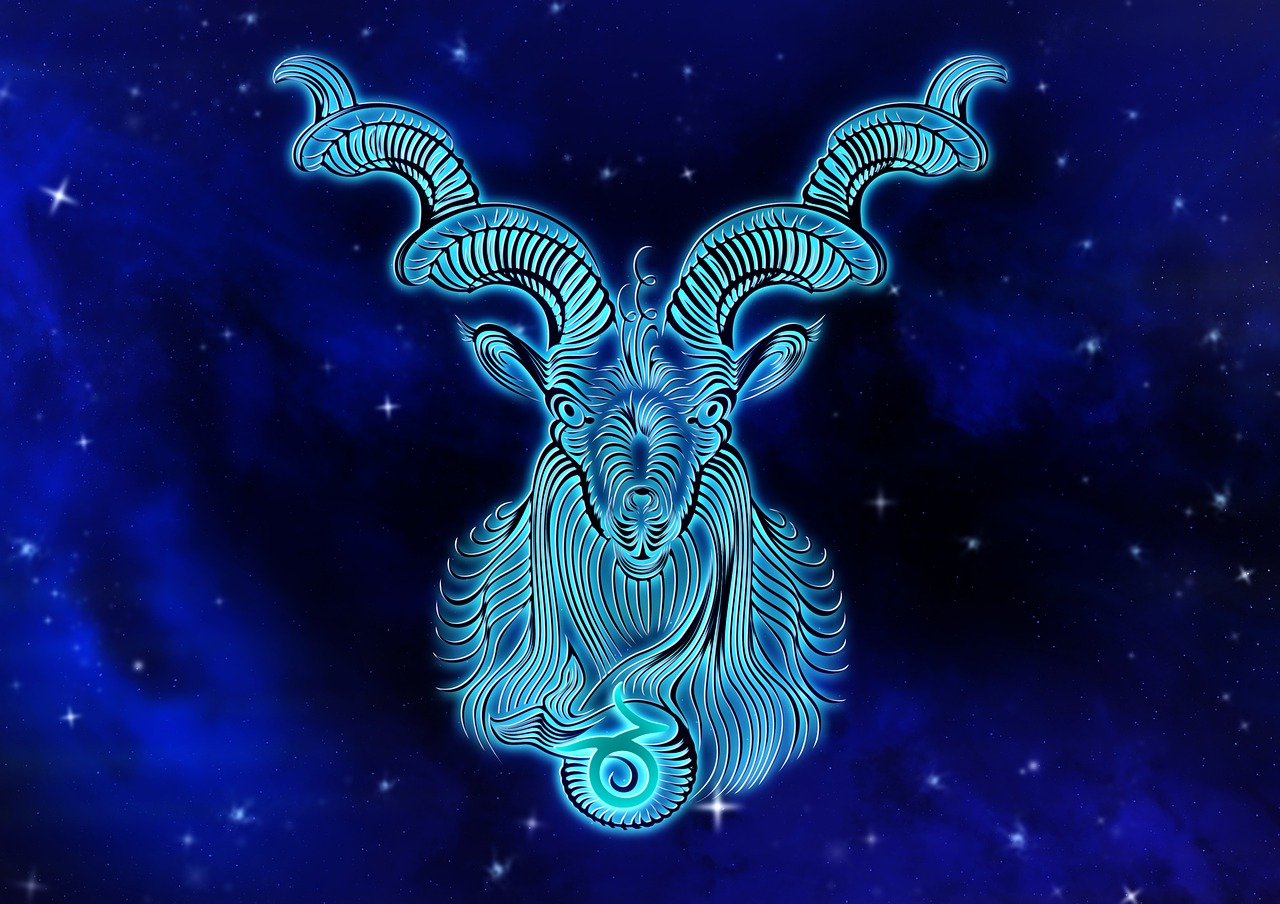 Capricorn Capricorn