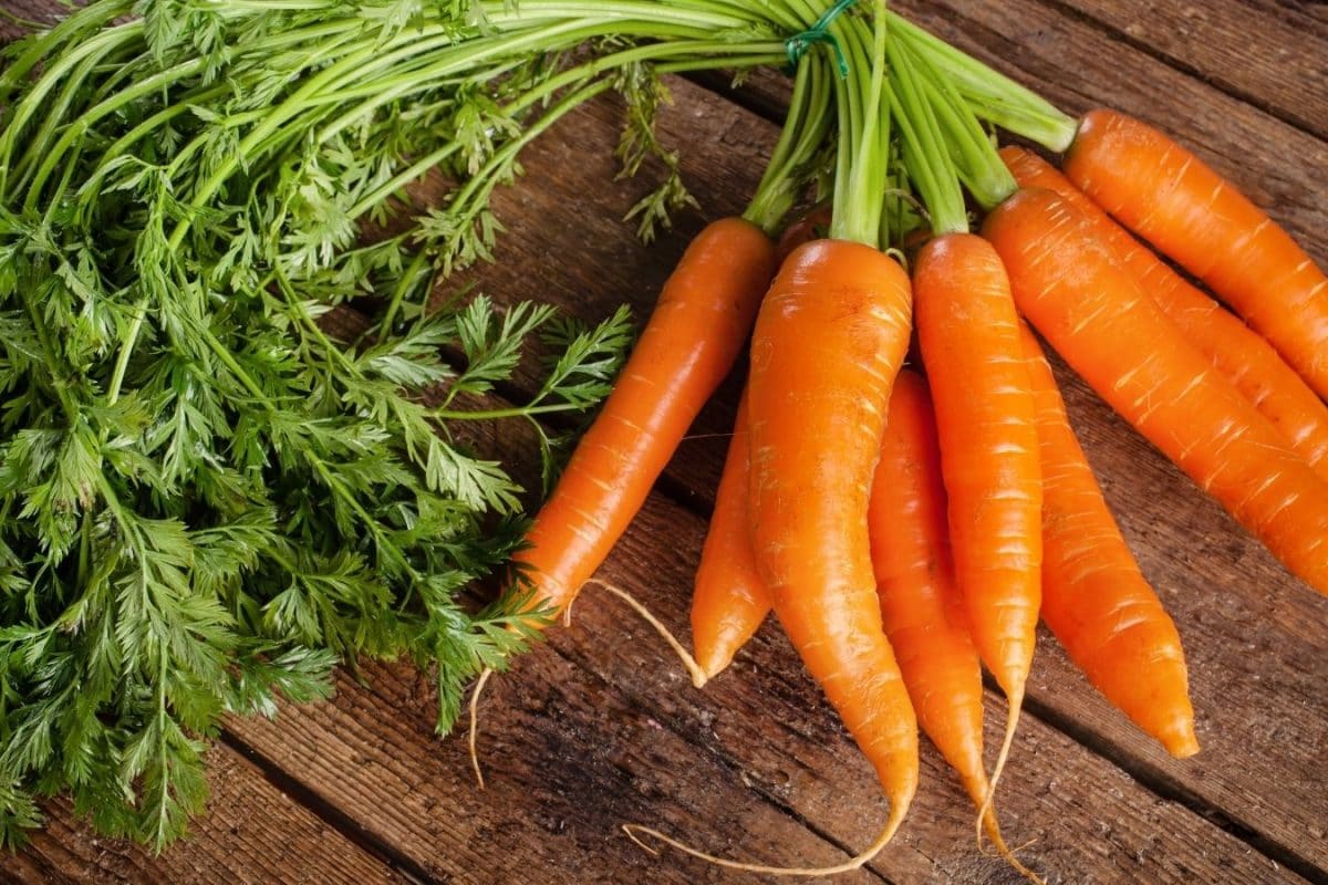 These 4 Simple Ways To Drink Carrot Juice Daily Can Boost Your Winter Health