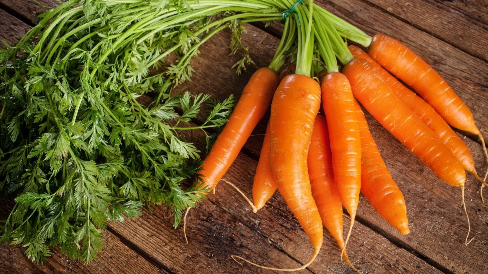 Carrots Carrots