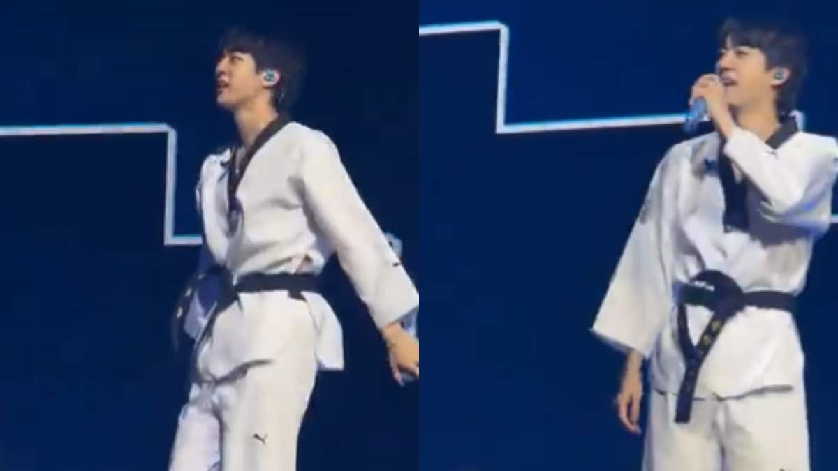 Watch: BTS’ Jin Spots Super Tuna Fan In Shark Costume At Dallas Show ...