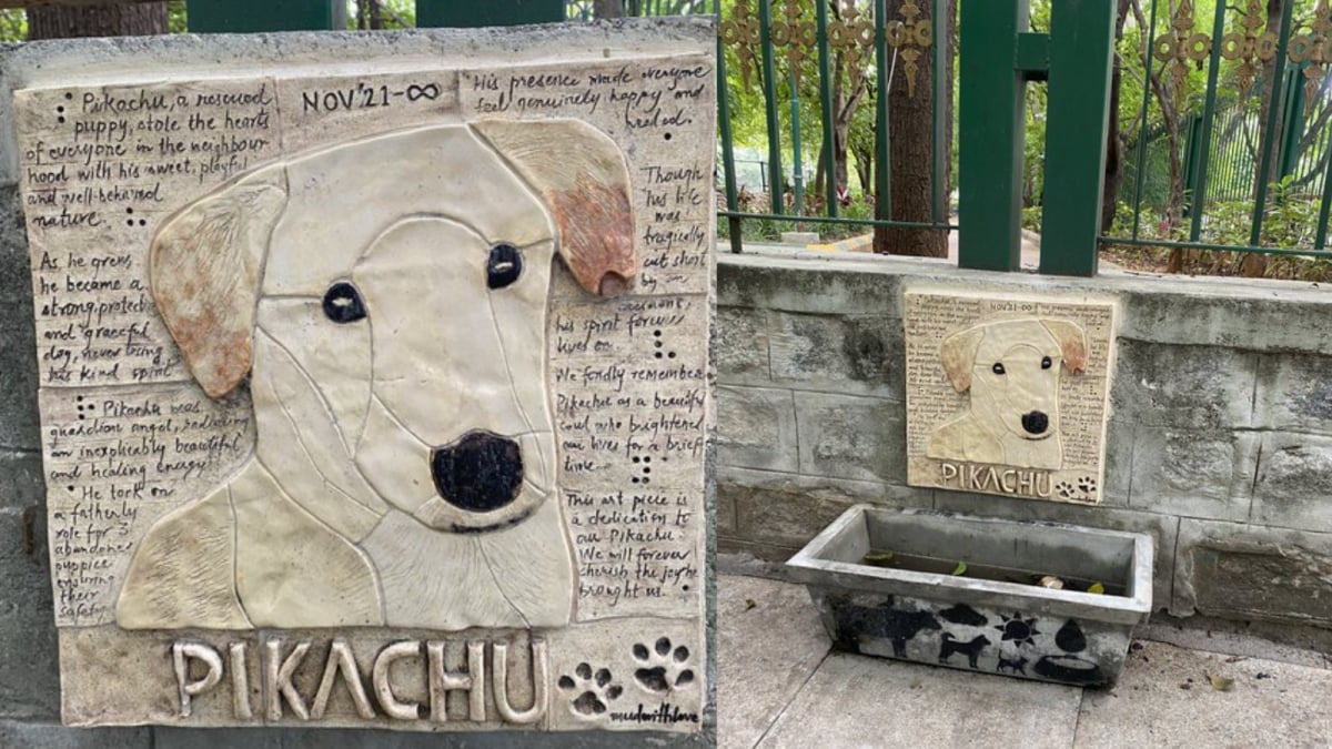 Bengaluru Residents Honour Stray Dog with Touching Mural, Internet In Tears
