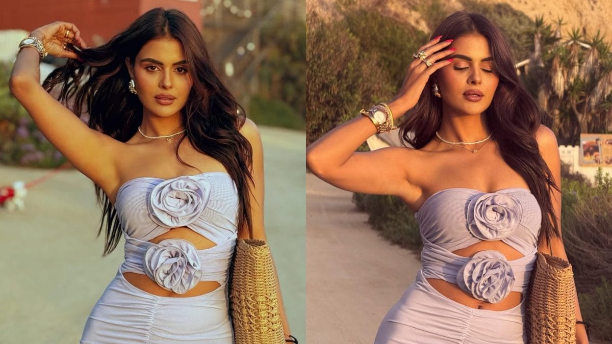 Priyanka Chahar Choudhary's Lilac Outfit Stuns Fans