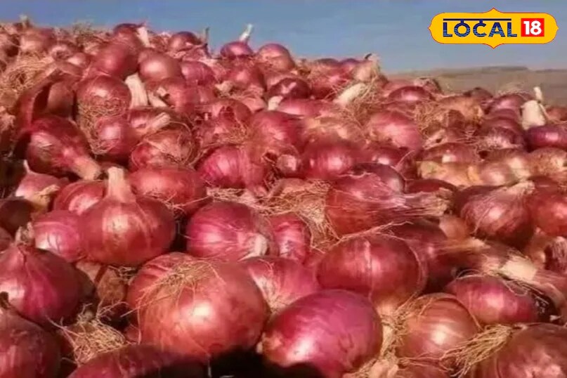 प्याज काटना कई लोगों के लिए एक मुश्किल काम हो सकता है। जबकि कुछ लोग बिना किसी मुद्दे के प्याज काटते हैं, दूसरों को आँसू को नियंत्रित करना मुश्किल लगता है। यहां तक ​​कि उसी कमरे में होने के नाते जहां प्याज काटा जा रहा है, मजबूत, तीखे धुएं के कारण आंखों में जलन और असुविधा हो सकती है। (News18 हिंदी)