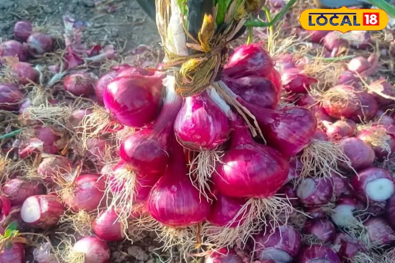 This common problem affects not only those chopping onions but also those nearby. As a result, people often look for ways to prevent tears while cooking. Fortunately, some tried-and-tested home remedies can help reduce the irritation and make the process easier. (News18 Hindi) This common problem affects not only those chopping onions but also those nearby. As a result, people often look for ways to prevent tears while cooking. Fortunately, some tried-and-tested home remedies can help reduce the irritation and make the process easier. (News18 Hindi)