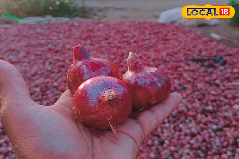 Some traditional remedies from rural areas also work well. One such trick is to keep water in your mouth while cutting onions. This is believed to prevent eye irritation. (News18 Hindi) Some traditional remedies from rural areas also work well. One such trick is to keep water in your mouth while cutting onions. This is believed to prevent eye irritation. (News18 Hindi)