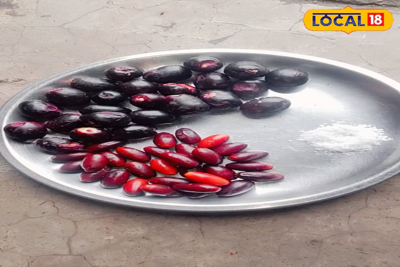 After jamun comes the khajuri fruit. Not to be confused with dates, khajuri is a wild fruit commonly found in fields and forests. The trees begin to bear fruit around February - March, and the fruits remain through the summer, ripening once the rains begin. Available for about a month during the monsoon, khajuri is sweet like dates, though it is known to have a naturally hot nature. (News18 Hindi) After jamun comes the khajuri fruit. Not to be confused with dates, khajuri is a wild fruit commonly found in fields and forests. The trees begin to bear fruit around February - March, and the fruits remain through the summer, ripening once the rains begin. Available for about a month during the monsoon, khajuri is sweet like dates, though it is known to have a naturally hot nature. (News18 Hindi)