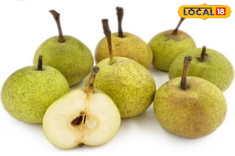 Then there’s the humble pear or nashpati. This delicious monsoon fruit is packed with sweetness and nutrition. The pear is a popular fruit in households and is enjoyed fresh during this season. (News18 Hindi) Then there’s the humble pear or nashpati. This delicious monsoon fruit is packed with sweetness and nutrition. The pear is a popular fruit in households and is enjoyed fresh during this season. (News18 Hindi)