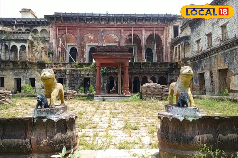 Mohan passed away on December 19, 1969, at the age of 19. He was buried with full state honours in the gardens of Govindgarh Fort, where a mausoleum now stands in his memory. His death marked the end of an era, and years later, his last known descendant in Rewa, a white tiger named Virat, died in 1976. (News18 Hindi) Mohan passed away on December 19, 1969, at the age of 19. He was buried with full state honours in the gardens of Govindgarh Fort, where a mausoleum now stands in his memory. His death marked the end of an era, and years later, his last known descendant in Rewa, a white tiger named Virat, died in 1976. (News18 Hindi)