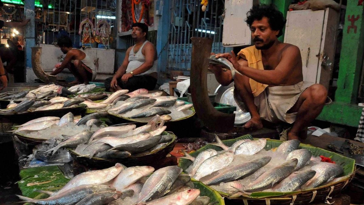 Fish Importers Seek Hilsa From Bangladesh Ahead Of Durga Puja, Urge Policy Reforms