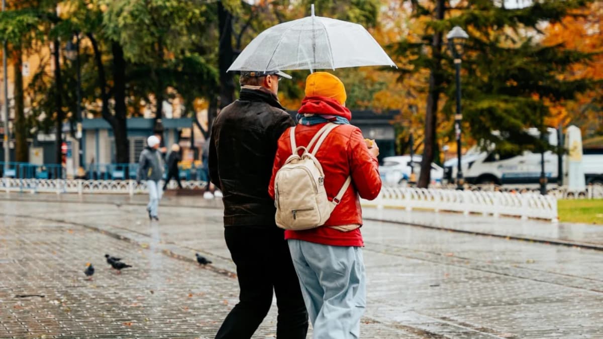 Top Monsoon Roll-Top Backpacks for Weather Protection