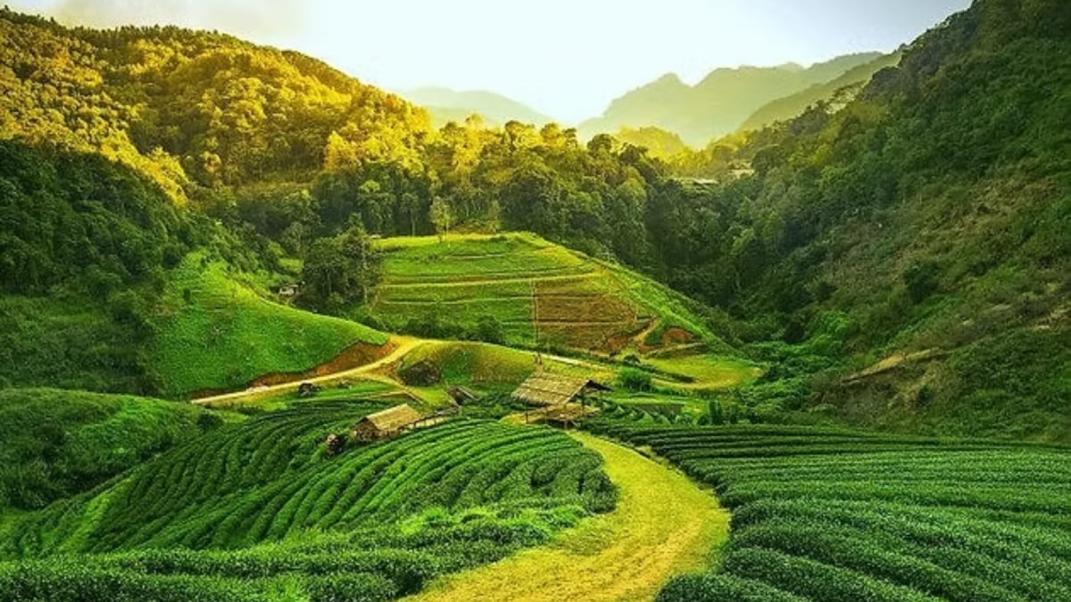 Southern India's Most Calm And Relaxed Getaway Destinations To Explore This Monsoon