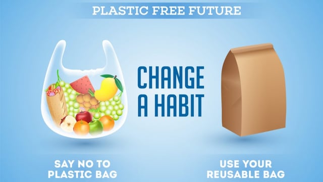 International Plastic Bag Free Day 2025: Theme, History, Quotes And