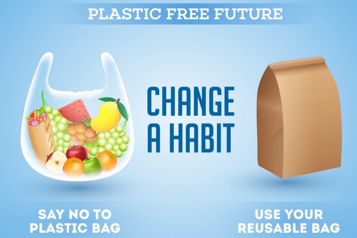 International Plastic Bag Free Day 2025: Theme, History, Quotes And Celebrations