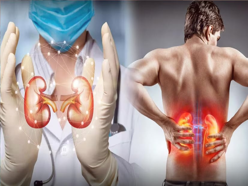 It’s essential to pay attention to small, everyday clues. Regular energy, clear skin, no unusual swelling, and fresh breath may seem ordinary, but they are often signals that your kidneys are in good health. (News18 Bengali) It’s essential to pay attention to small, everyday clues. Regular energy, clear skin, no unusual swelling, and fresh breath may seem ordinary, but they are often signals that your kidneys are in good health. (News18 Bengali)