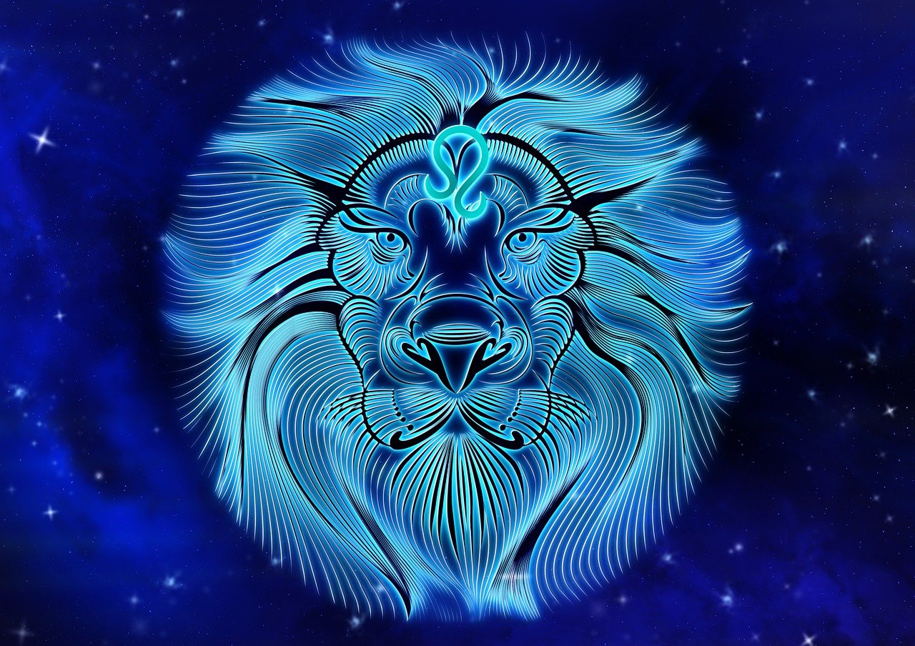 Leo Leo