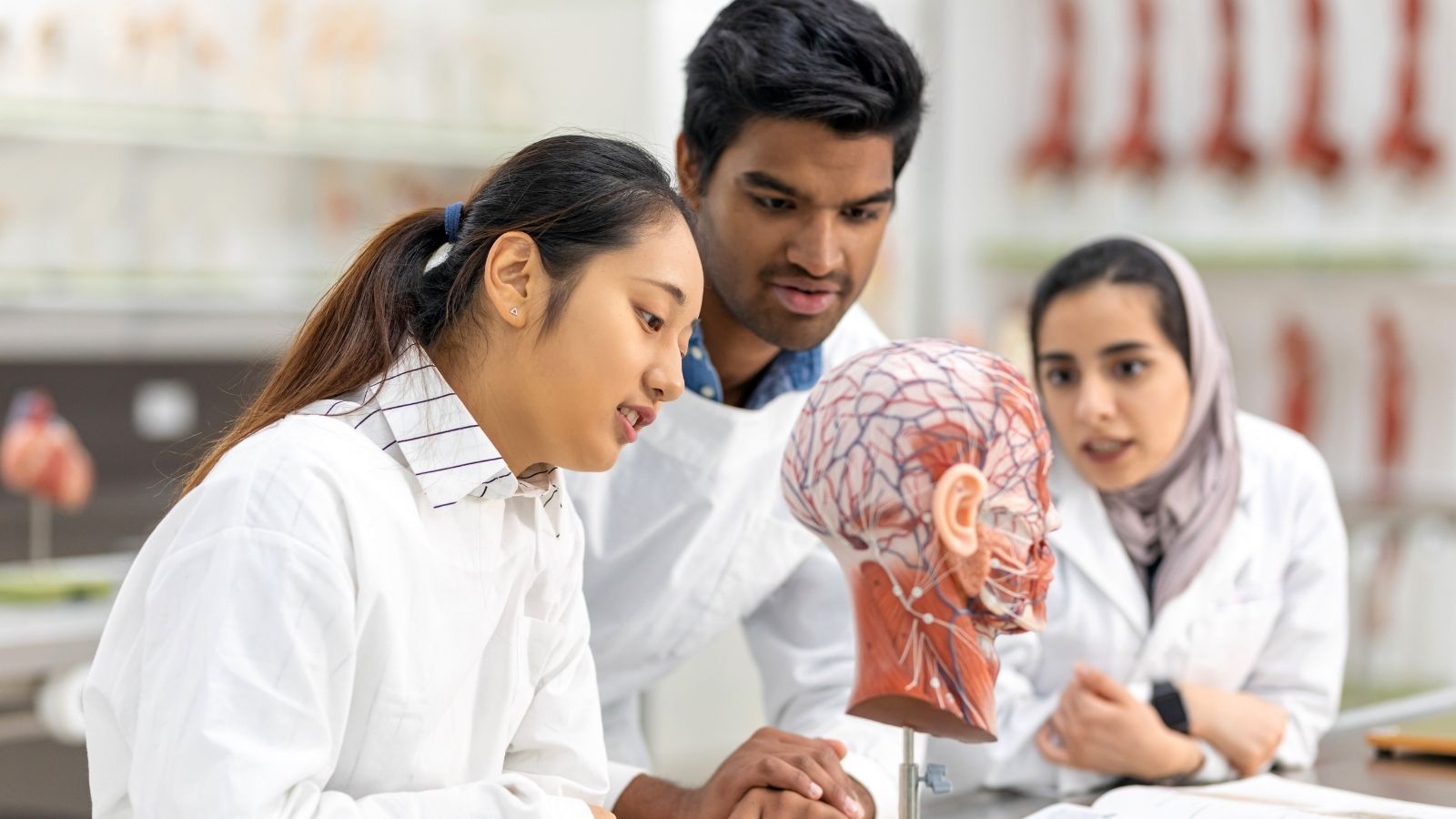 Cheap country to study medical for Indian students Cheap country to study medical for Indian students