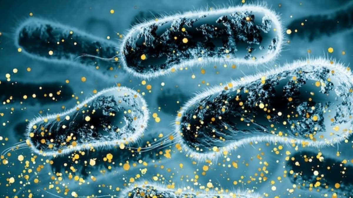This Microbe Turns Toxic Metal into 24-Carat Gold - Nature's Craziest Alchemist!