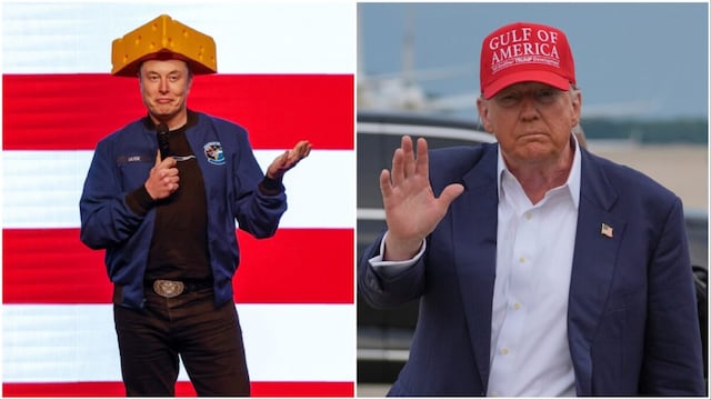 File photos of Elon Musk, Donald Trump (AP)