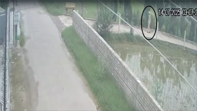 Fauja Singh, the world's oldest marathoner, seen in CCTV video 