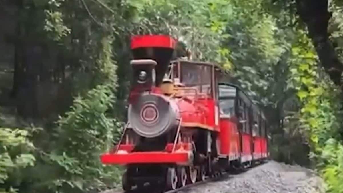 Mumbai’s Van Rani Toy Train Resumes Service At Sanjay Gandhi National Park After 3-Year Pause