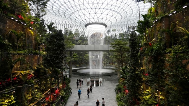 The man was arrested while he was in transit at Changi Airport. (Representative image)