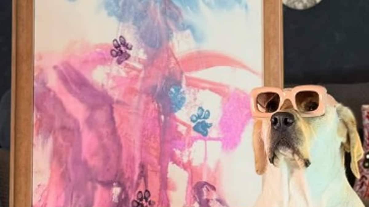 Salvador Who? Meet Dali, India’s First Painter Dog Who’s Saving Strays One Stroke At A Time