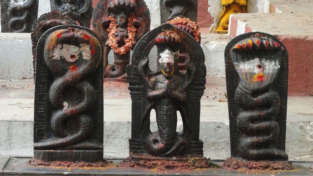 The Land Of The Naga: Why Coastal Karnataka Still Worships The Serpent | Viral News