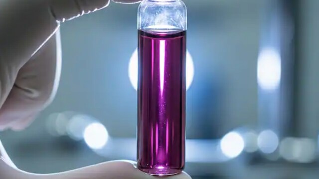 Unlike natural red blood, HbVs have a distinctive purple hue and can be produced from expired donated blood, reducing wastage while still ensuring effective oxygen delivery. (AI Generated/News18 Hindi)