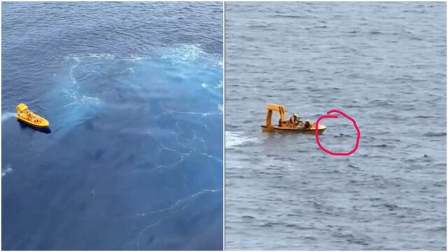 The swift action by cruise rescue team also helped the two from being left behind.   
