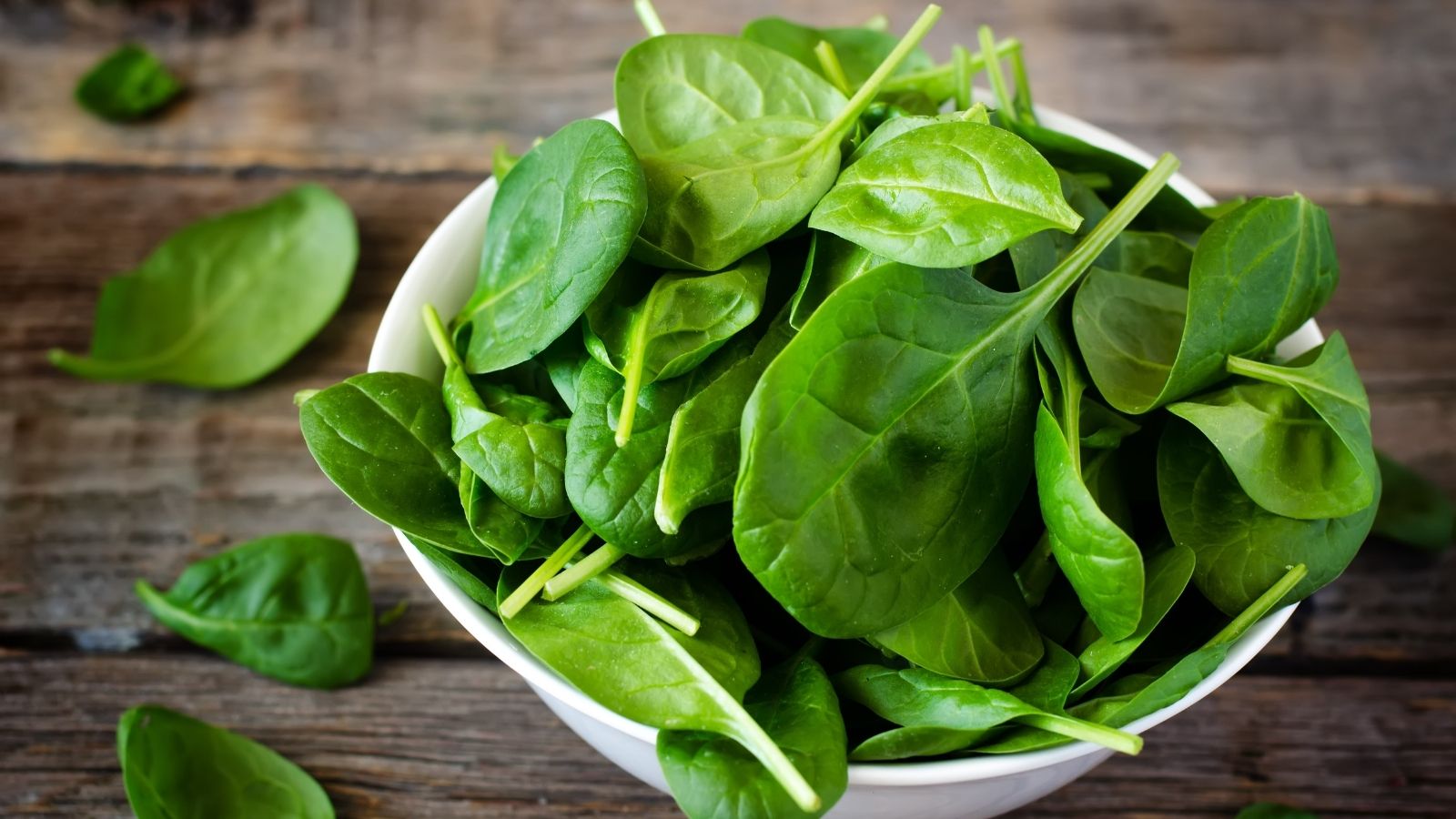 Spinach Spinach