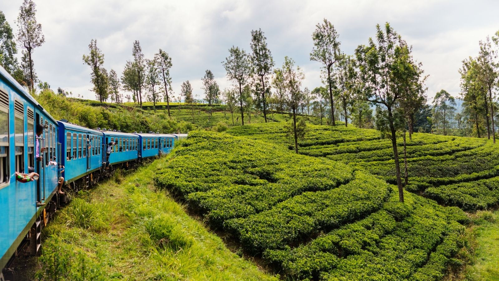 International Travel Destination