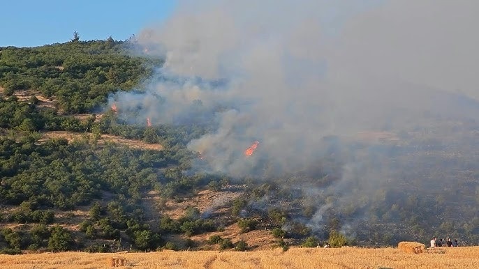 In Turkey, more than 50,000 people were evacuated from the Izmir province, where winds clocking 120 km/h (75 mph) worsened wildfires. (Image: YouTube/AFP/Screengrab) In Turkey, more than 50,000 people were evacuated from the Izmir province, where winds clocking 120 km/h (75 mph) worsened wildfires. (Image: YouTube/AFP/Screengrab)