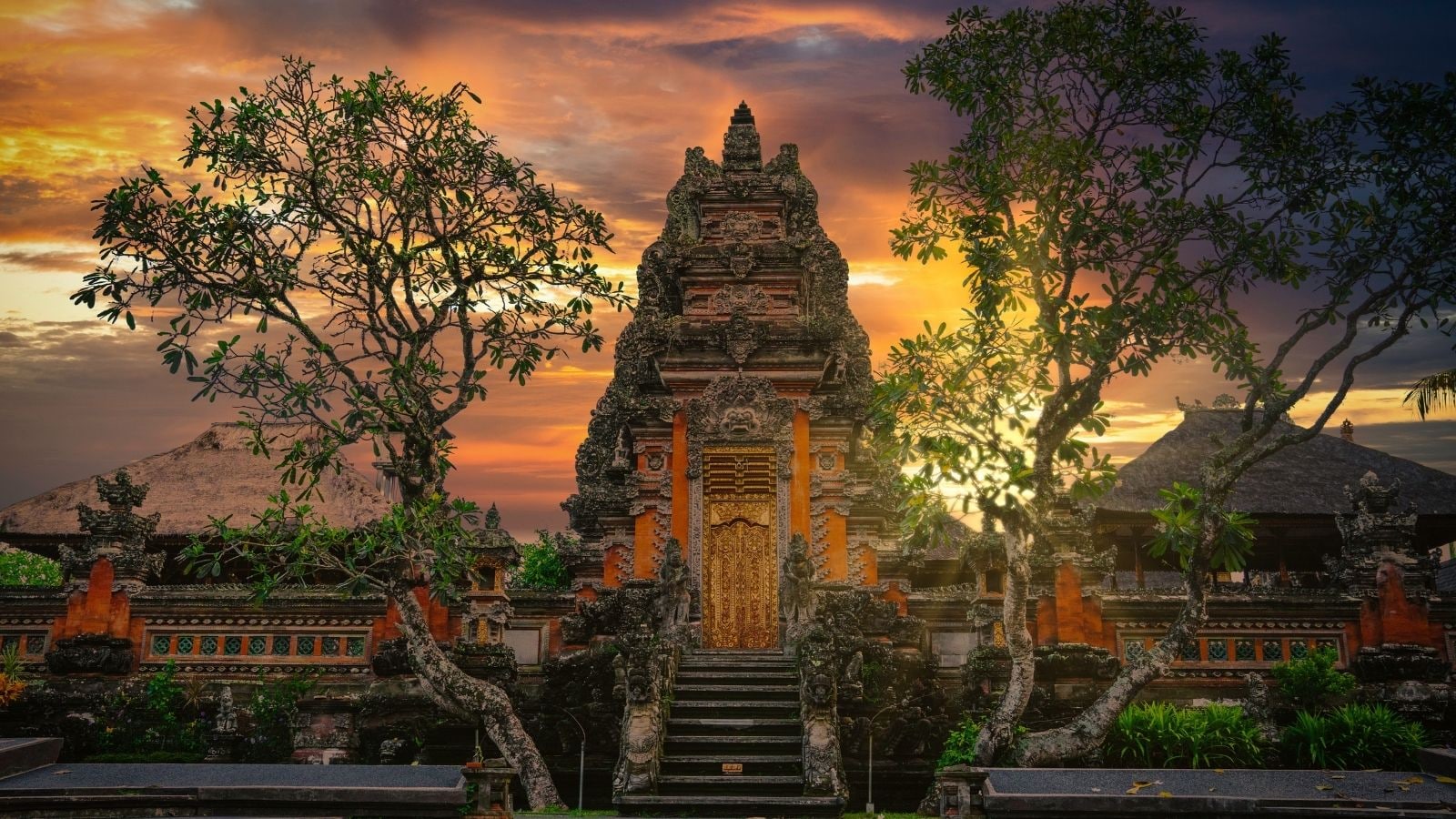 International Travel Destination