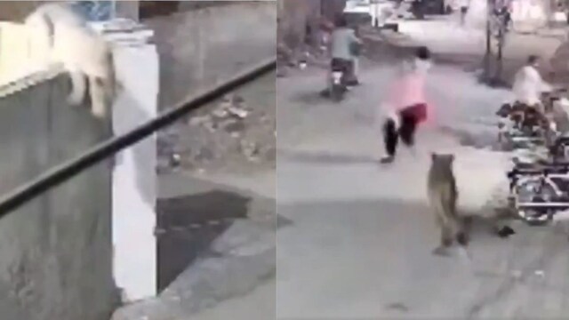 Screengrab of the viral video. (X)