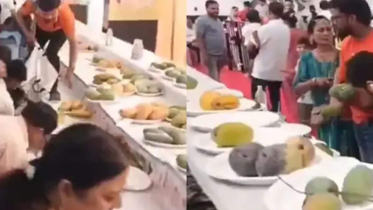 Stuffed In Sarees, Dupattas, & Pockets! Crowds Loot Display Mangoes At Lucknow Festival | Watch Stuffed In Sarees, Dupattas, & Pockets! Crowds Loot Display Mangoes At Lucknow Festival | Watch