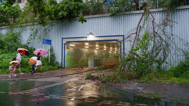 A fallen tree due to winds from Typhoon Wipha is seen as people with umbrellas walk towards an underpass following the storm in Hong Kong on July 20, 2025. (AFP)