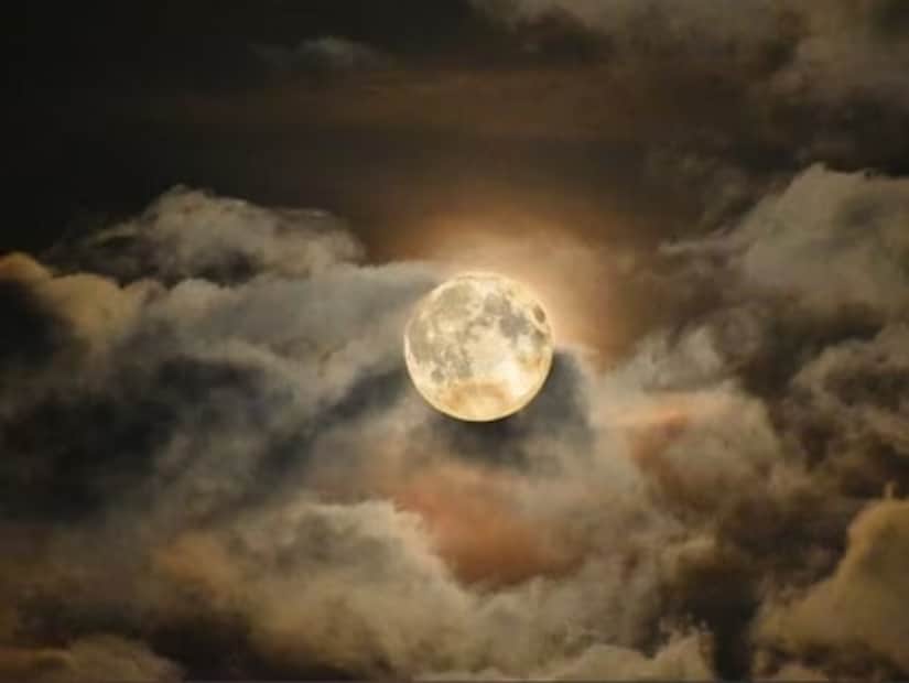 Those observing a fast on Guru Purnima are advised to stay away from the five grains: rice, wheat, corn, jowar, and ragi. The consumption of any kind of intoxicants should be strictly avoided. It is believed that by following these food guidelines, one can ward off misfortune, attract financial prosperity, and bring blessings into the home. (News18 Bengali) Those observing a fast on Guru Purnima are advised to stay away from the five grains: rice, wheat, corn, jowar, and ragi. The consumption of any kind of intoxicants should be strictly avoided. It is believed that by following these food guidelines, one can ward off misfortune, attract financial prosperity, and bring blessings into the home. (News18 Bengali)