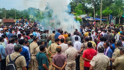 Samajwadi Party's RK Chaudhary argued that the massive amount of wood required for traditional funeral pyres leads to deforestation, while the ash and residual remains released into rivers contribute to the degradation of the Ganga and other holy water bodies. (Representational image: PTI)