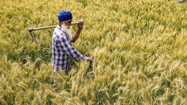 The FTA excludes India’s most sensitive agri sectors to protect domestic farmers. (PTI)