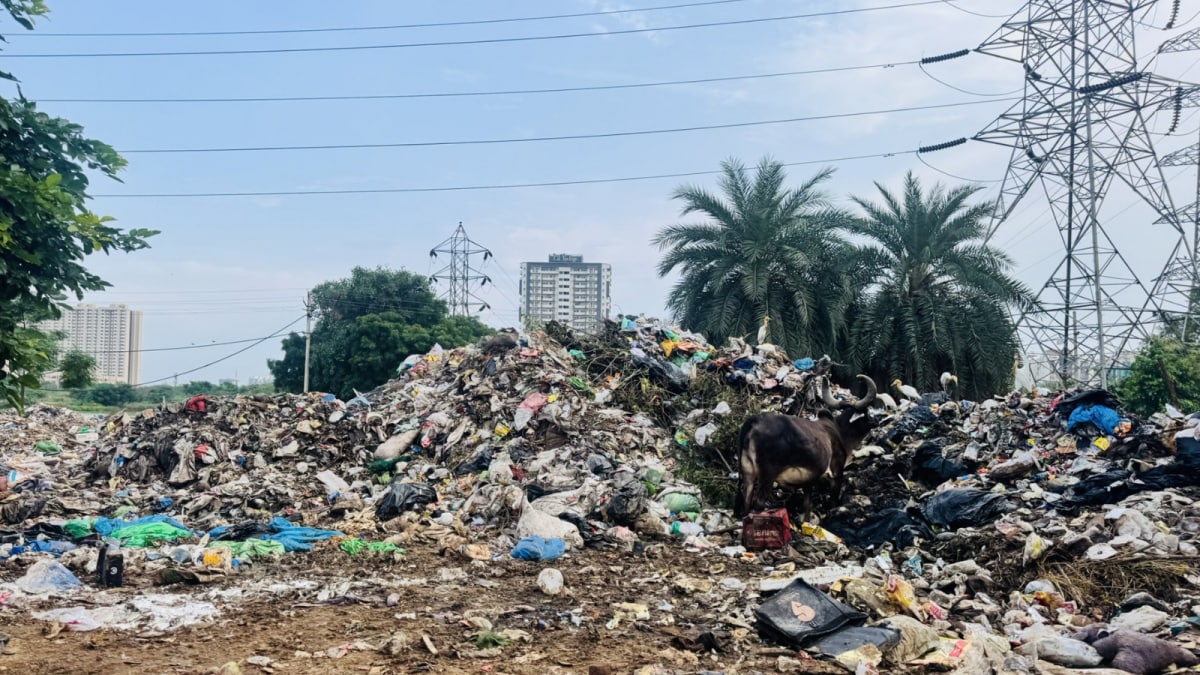 Careless Garbage Disposal? Pay Penalty From April 1 As Govt Notifies New Solid Waste Rules