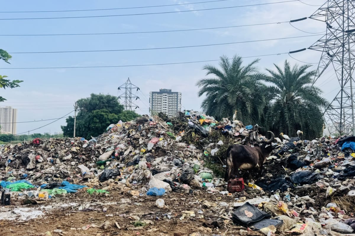 MCD Allocates Rs 48 Crore To Boost Garbage Cleanup In Delhi
