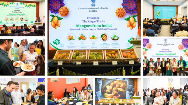  The King of Fruits’ is celebrated in India across cultures.