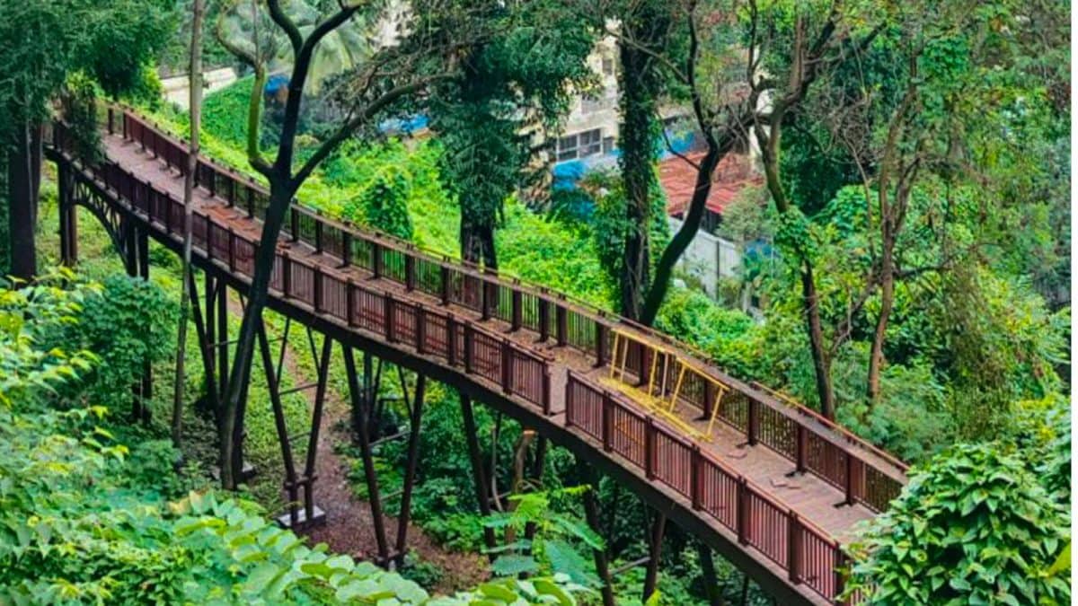 Mumbai Nature Trail to Offer Shorter Visits, WhatsApp Bookings