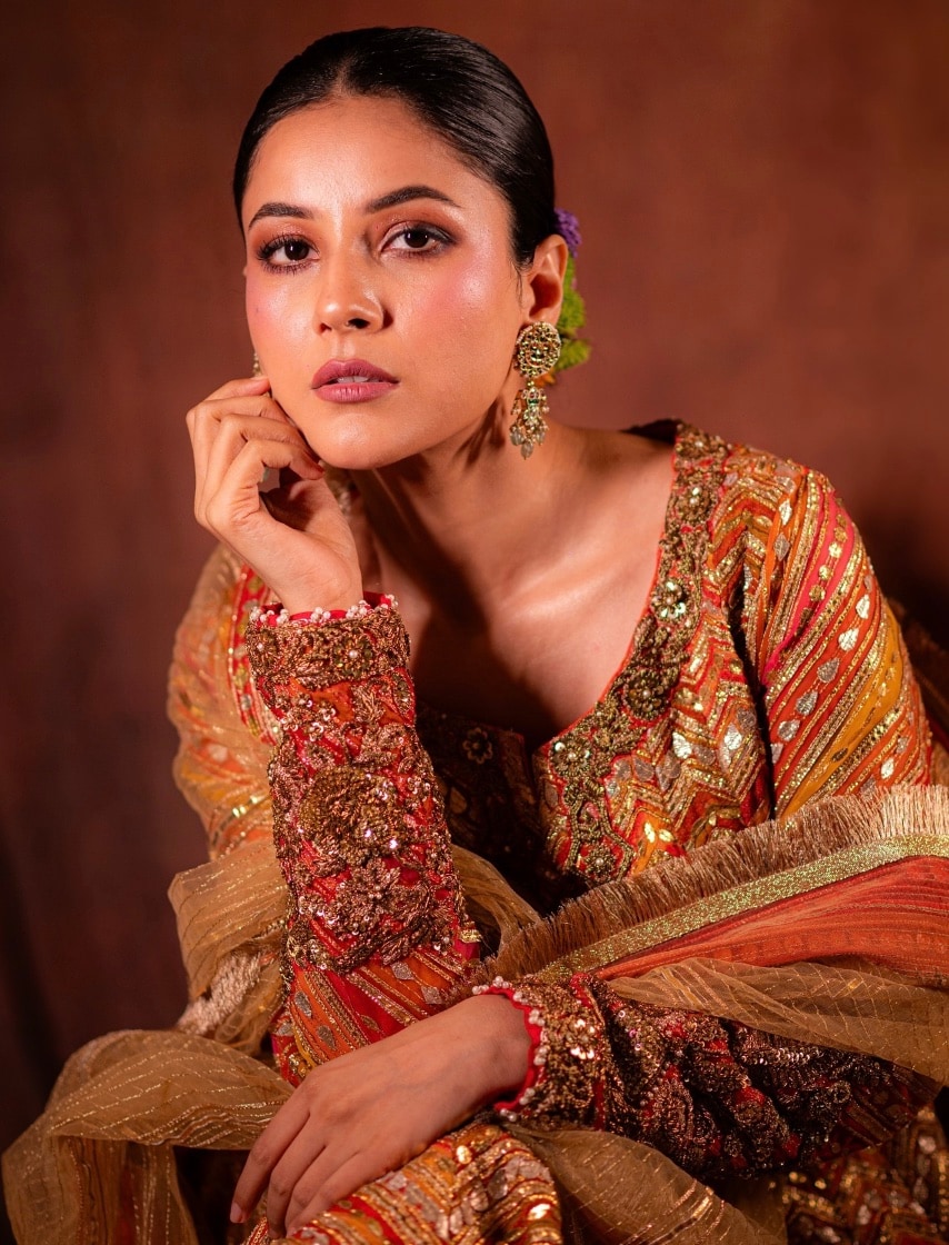 shehnaaz gill shehnaaz gill