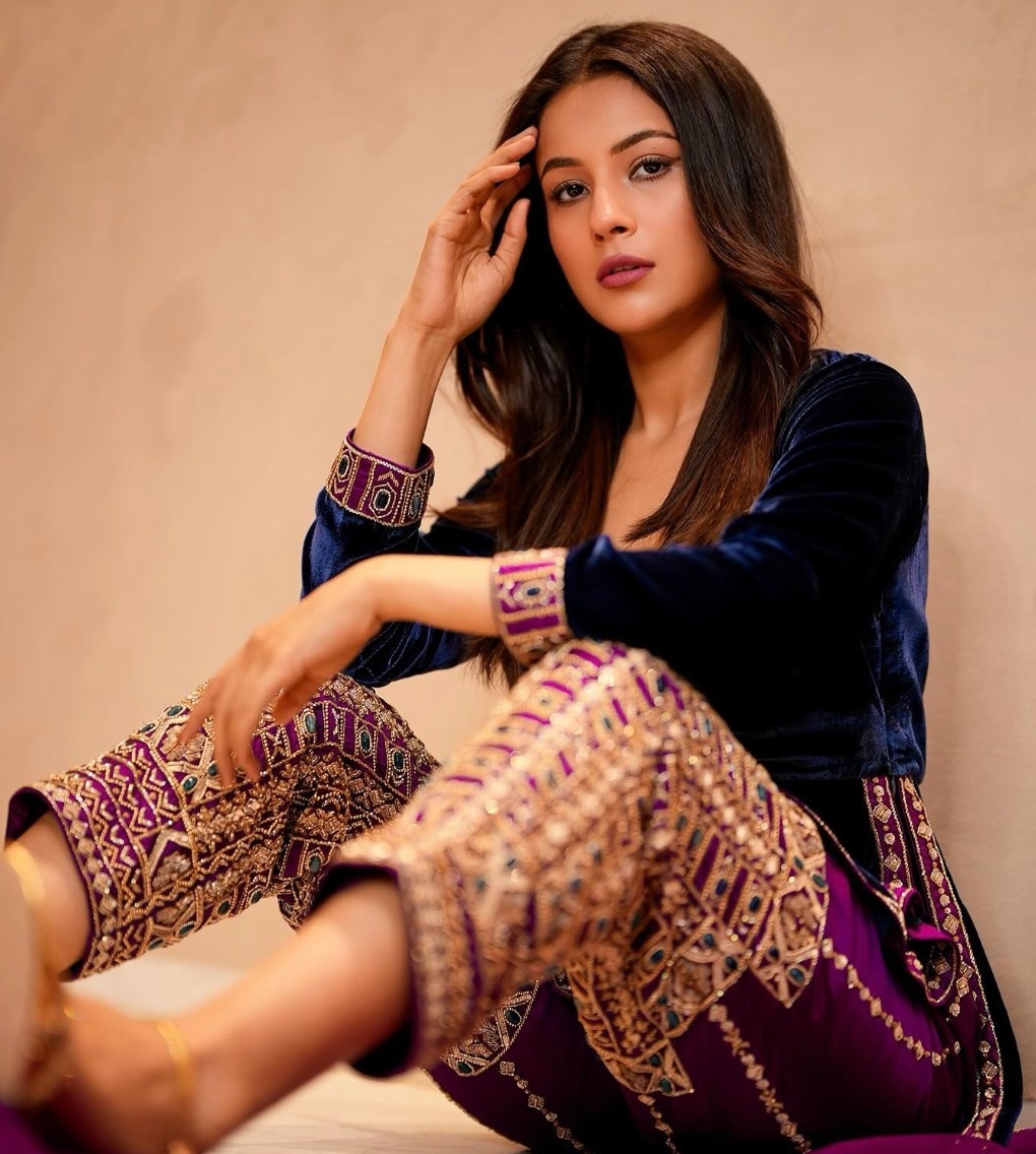shehnaaz gill shehnaaz gill