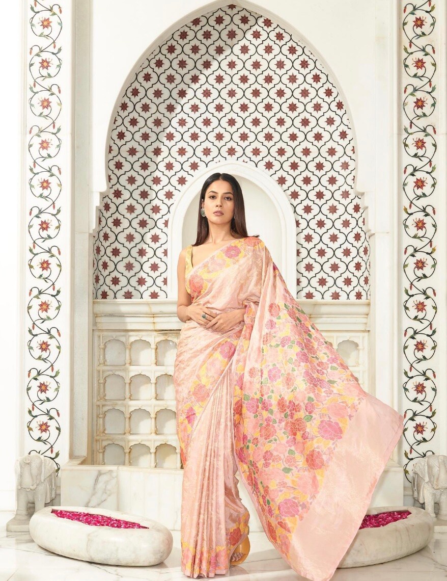 shehnaaz gill shehnaaz gill